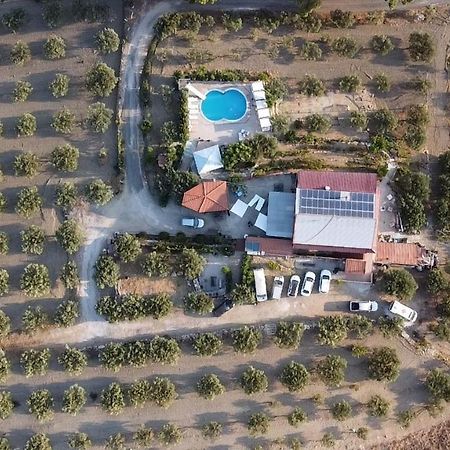 Terra Nostra Bed and Breakfast Agrigento Esterno foto